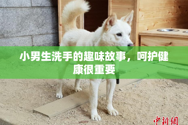 小男生洗手的趣味故事，呵护健康很重要