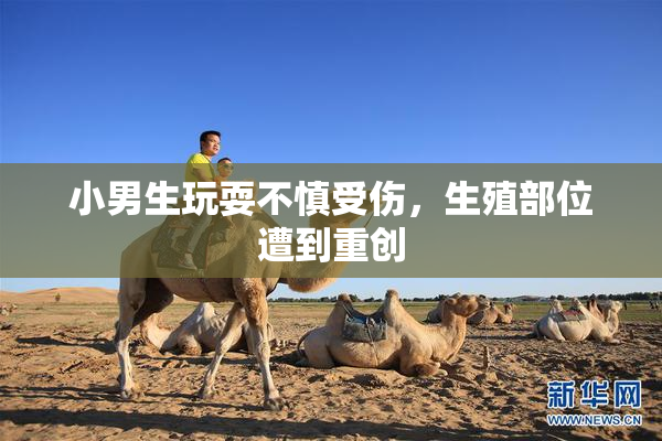 小男生玩耍不慎受伤，生殖部位遭到重创