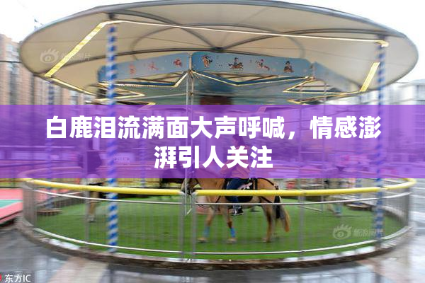 白鹿泪流满面大声呼喊，情感澎湃引人关注
