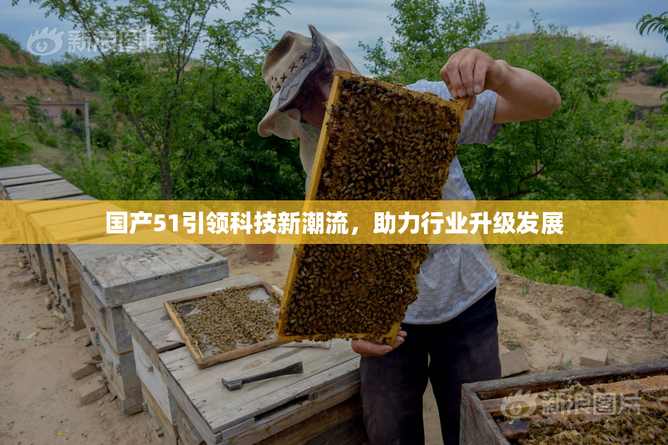 国产51引领科技新潮流，助力行业升级发展