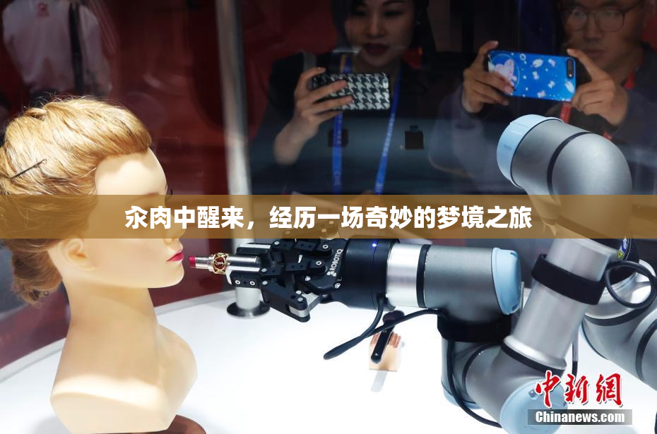 汆肉中醒来，经历一场奇妙的梦境之旅