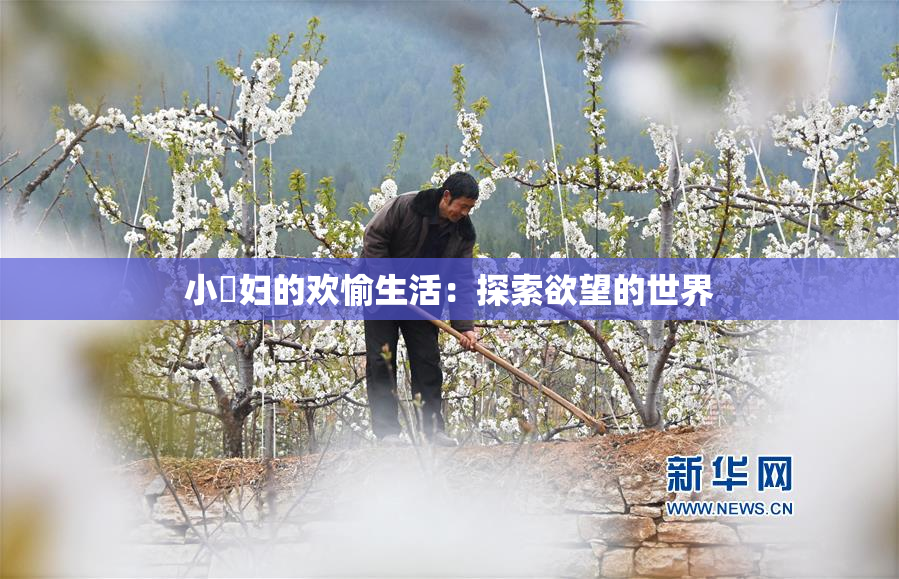 小婬妇的欢愉生活：探索欲望的世界