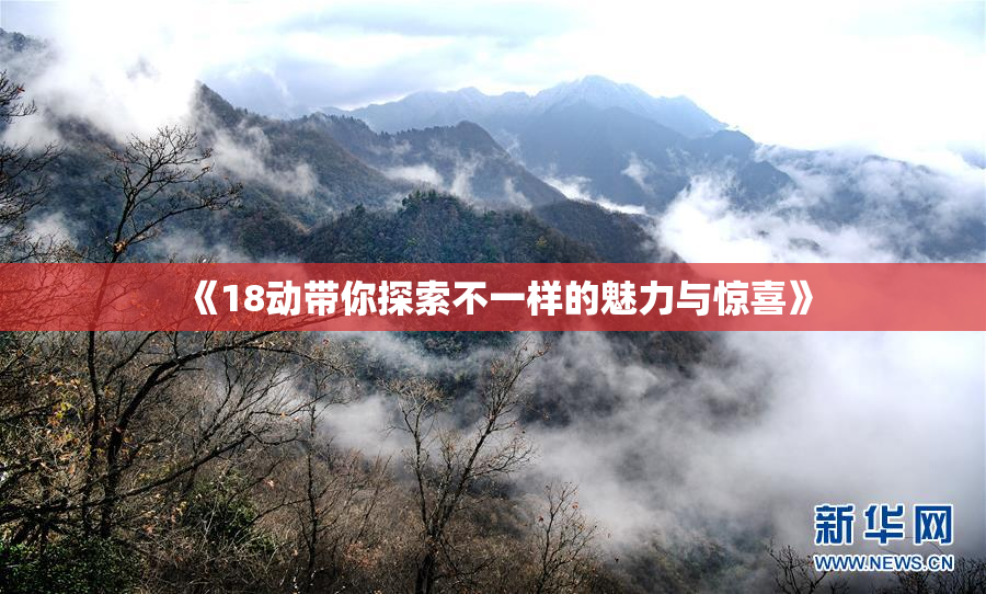 《18动带你探索不一样的魅力与惊喜》