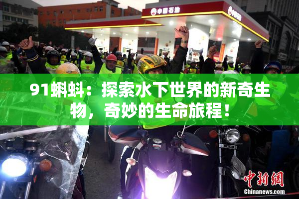 91蝌蚪：探索水下世界的新奇生物，奇妙的生命旅程！