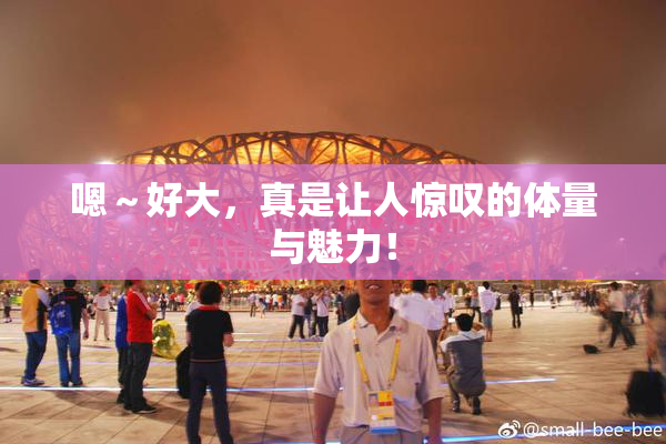 嗯～好大，真是让人惊叹的体量与魅力！