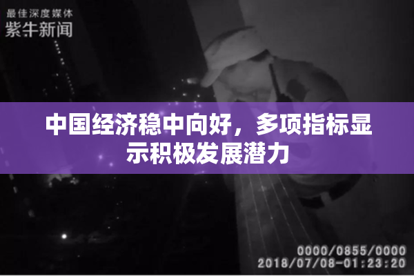 中国经济稳中向好，多项指标显示积极发展潜力