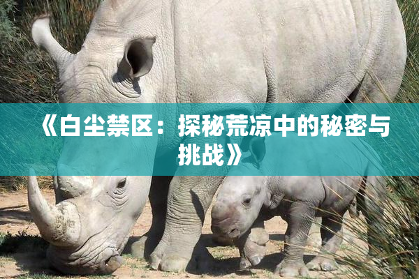 《白尘禁区：探秘荒凉中的秘密与挑战》