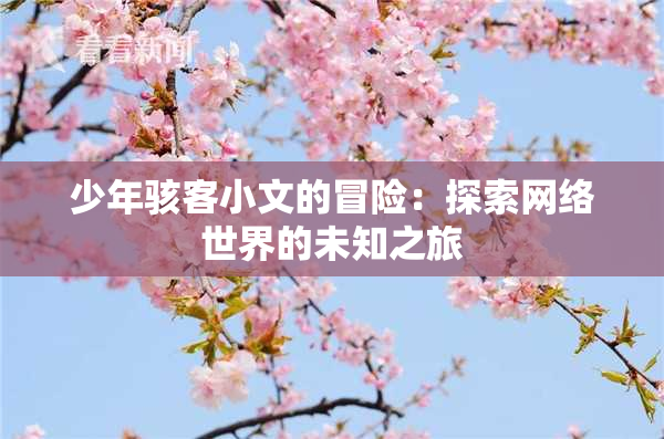 少年骇客小文的冒险：探索网络世界的未知之旅