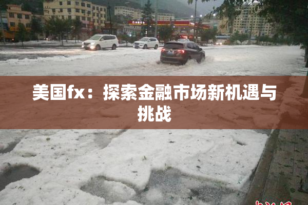 美国fx：探索金融市场新机遇与挑战