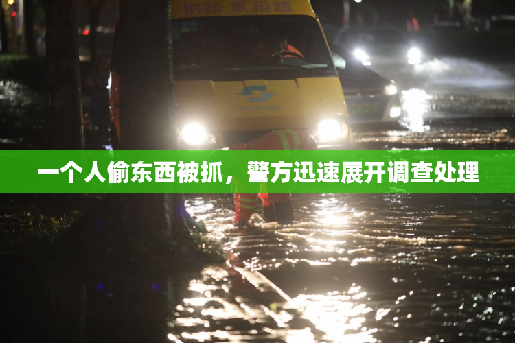 一个人偷东西被抓，警方迅速展开调查处理