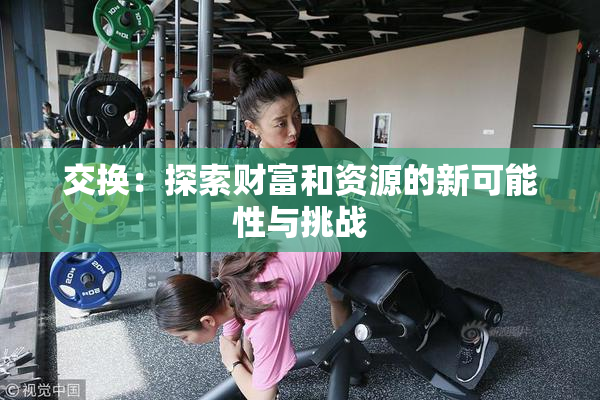 交换：探索财富和资源的新可能性与挑战