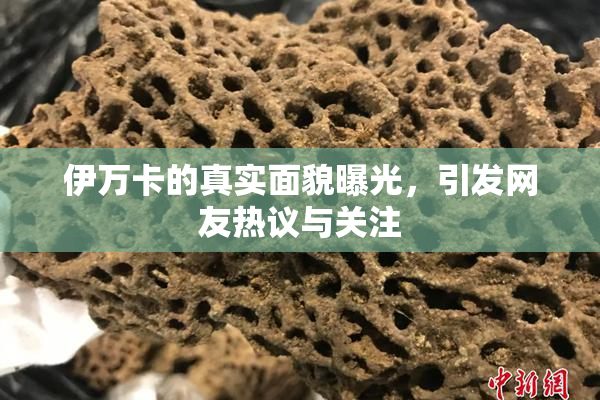 伊万卡的真实面貌曝光，引发网友热议与关注