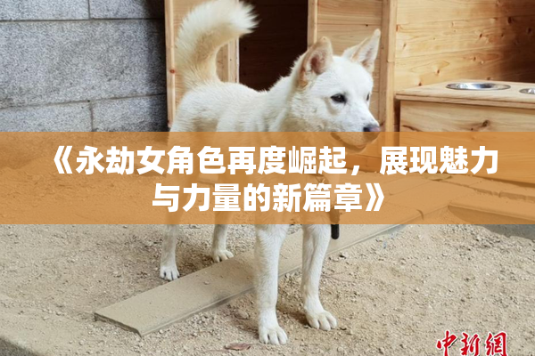 《永劫女角色再度崛起，展现魅力与力量的新篇章》