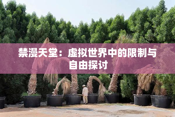 禁漫天堂：虚拟世界中的限制与自由探讨