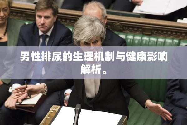 男性排尿的生理机制与健康影响解析。