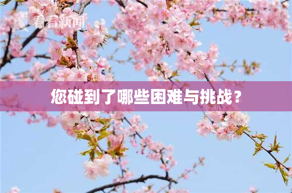 您碰到了哪些困难与挑战？