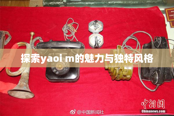 探索yaoi m的魅力与独特风格
