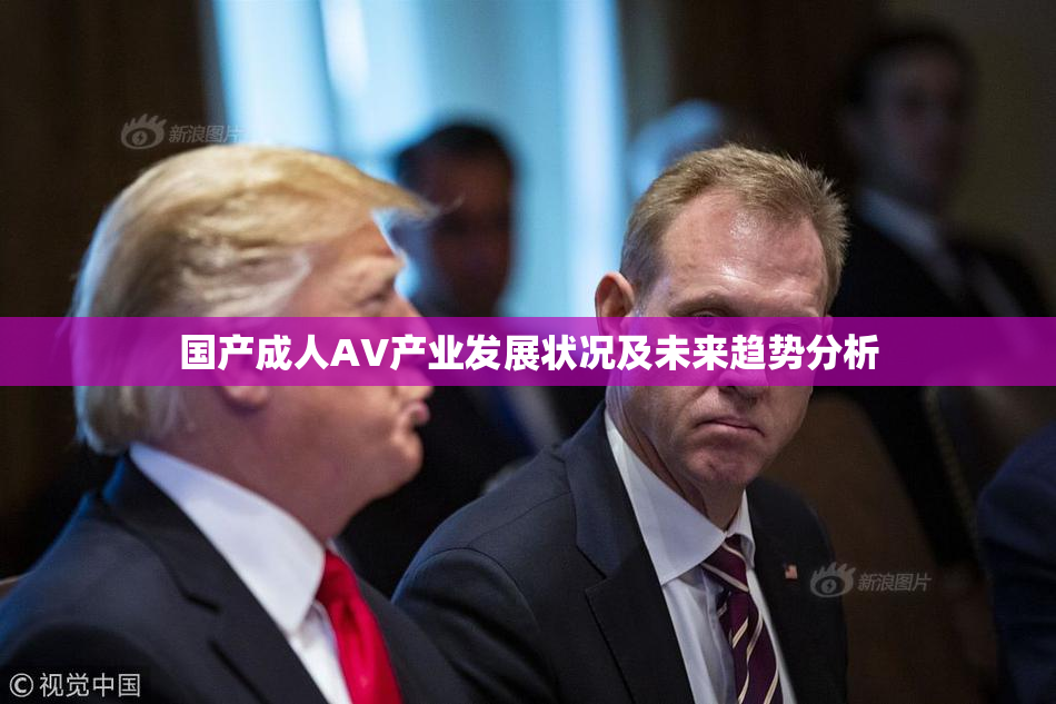 国产成人AV产业发展状况及未来趋势分析