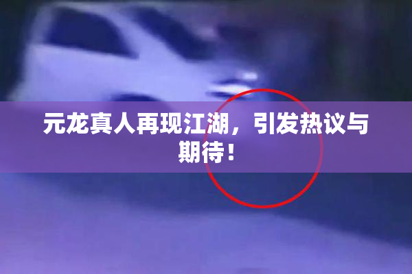 元龙真人再现江湖，引发热议与期待！
