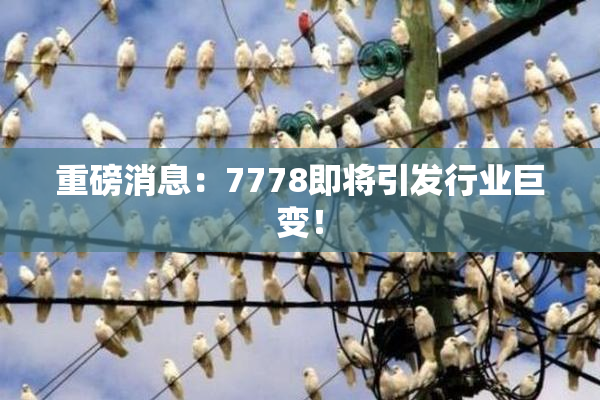重磅消息：7778即将引发行业巨变！