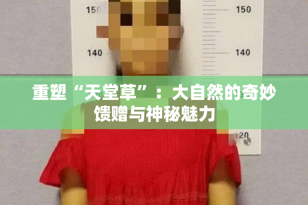 重塑“天堂草”：大自然的奇妙馈赠与神秘魅力