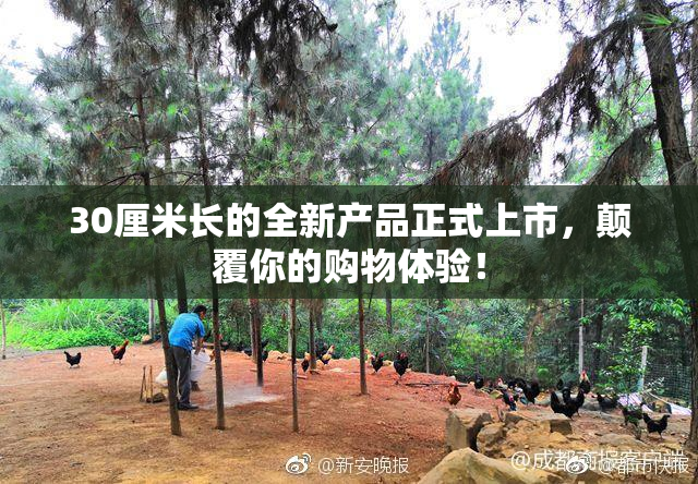 30厘米长的全新产品正式上市，颠覆你的购物体验！