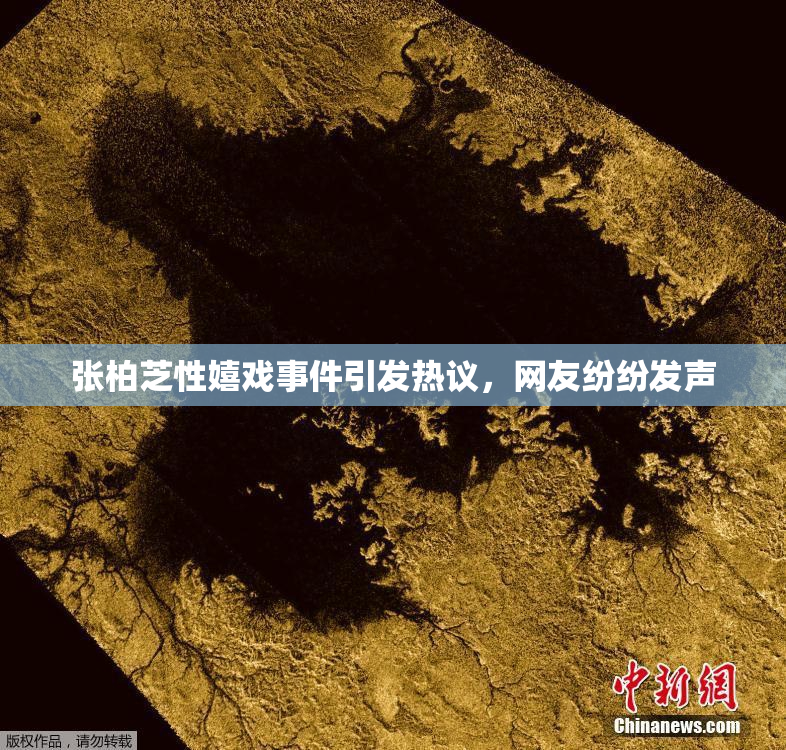 张柏芝性嬉戏事件引发热议，网友纷纷发声