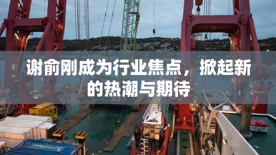 谢俞刚成为行业焦点，掀起新的热潮与期待