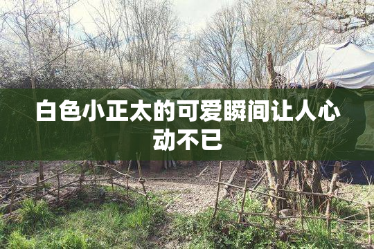 白色小正太的可爱瞬间让人心动不已