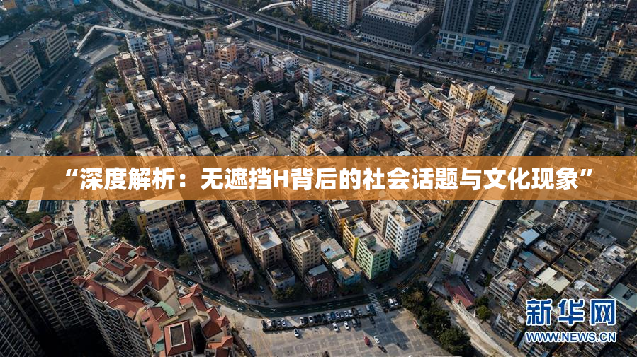 “深度解析：无遮挡H背后的社会话题与文化现象”
