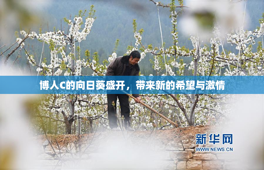 博人C的向日葵盛开，带来新的希望与激情
