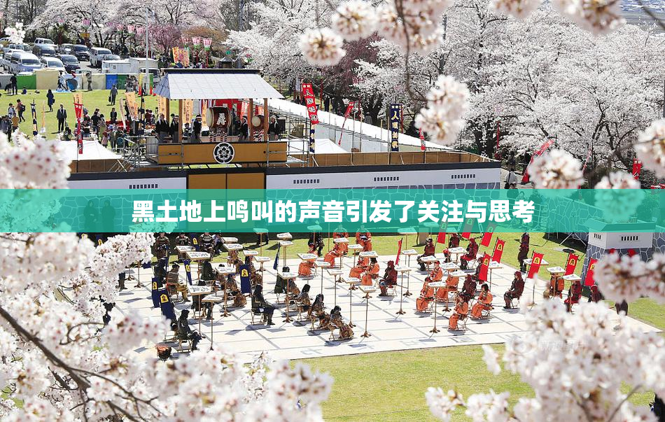 黑土地上鸣叫的声音引发了关注与思考