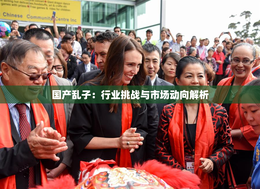 国产乱子：行业挑战与市场动向解析