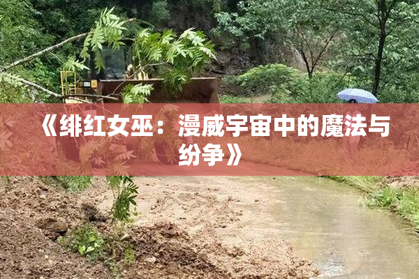 《绯红女巫：漫威宇宙中的魔法与纷争》