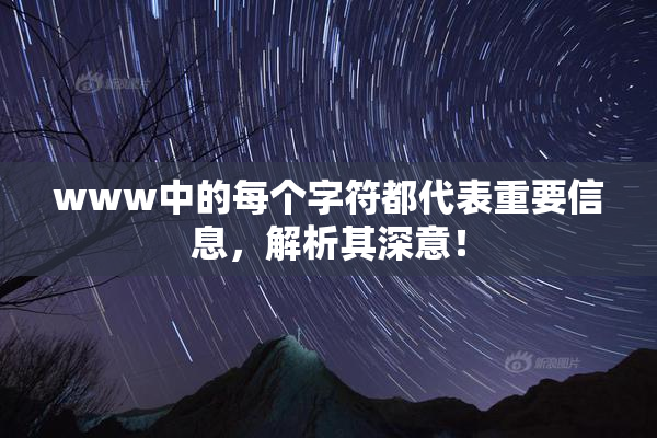 www中的每个字符都代表重要信息，解析其深意！