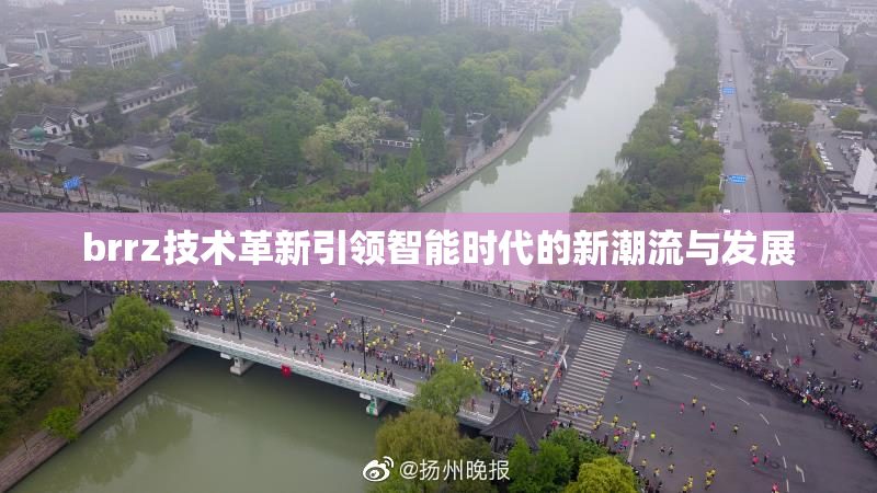 brrz技术革新引领智能时代的新潮流与发展