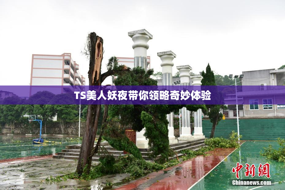 TS美人妖夜带你领略奇妙体验