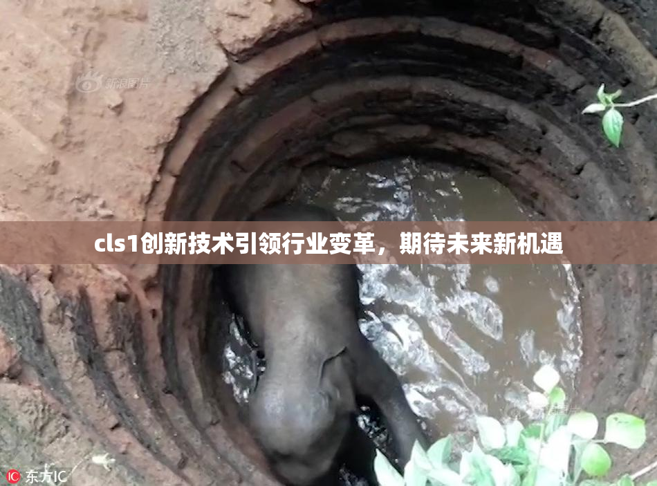 cls1创新技术引领行业变革，期待未来新机遇
