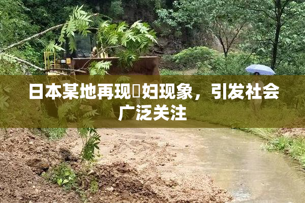 日本某地再现婬妇现象，引发社会广泛关注