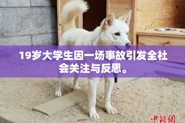 19岁大学生因一场事故引发全社会关注与反思。