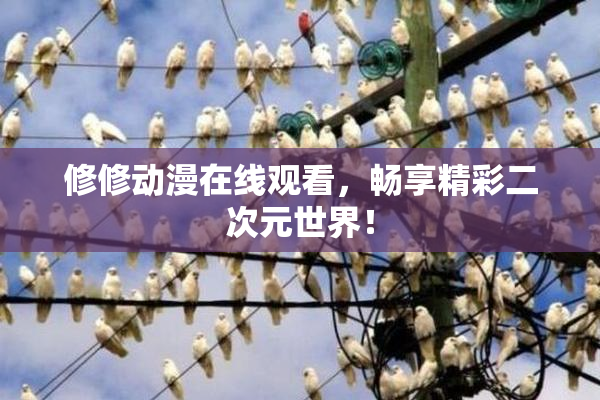 修修动漫在线观看，畅享精彩二次元世界！