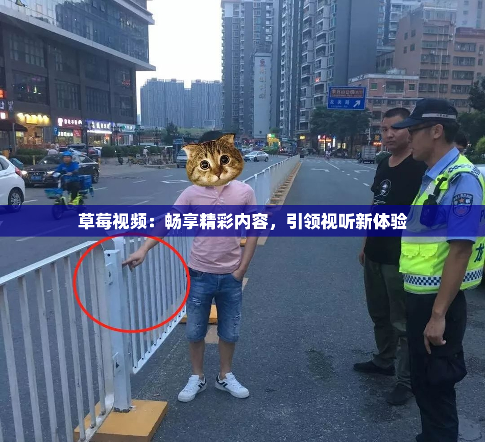 草莓视频：畅享精彩内容，引领视听新体验