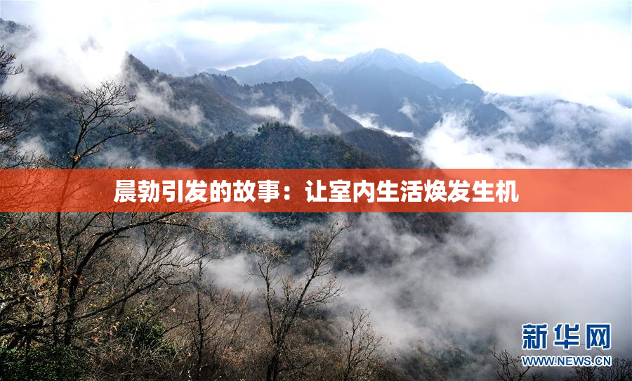 晨勃引发的故事：让室内生活焕发生机