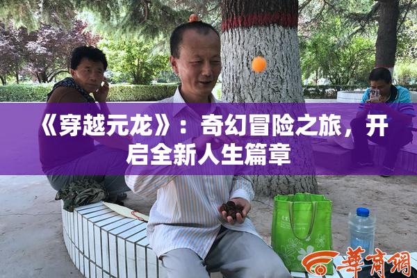 《穿越元龙》：奇幻冒险之旅，开启全新人生篇章