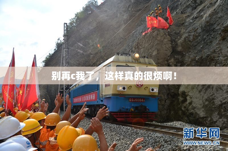 别再c我了，这样真的很烦啊！