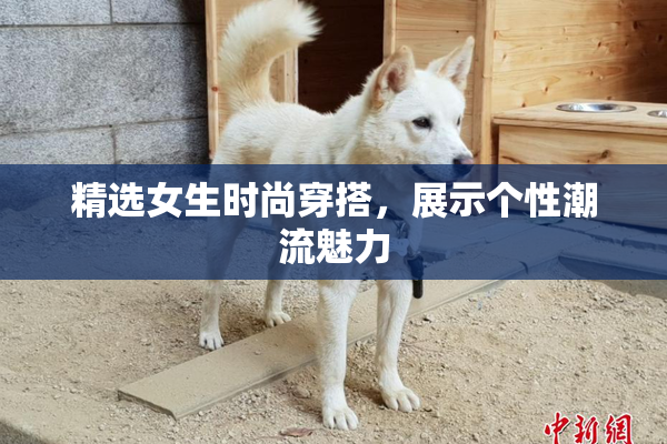 精选女生时尚穿搭，展示个性潮流魅力