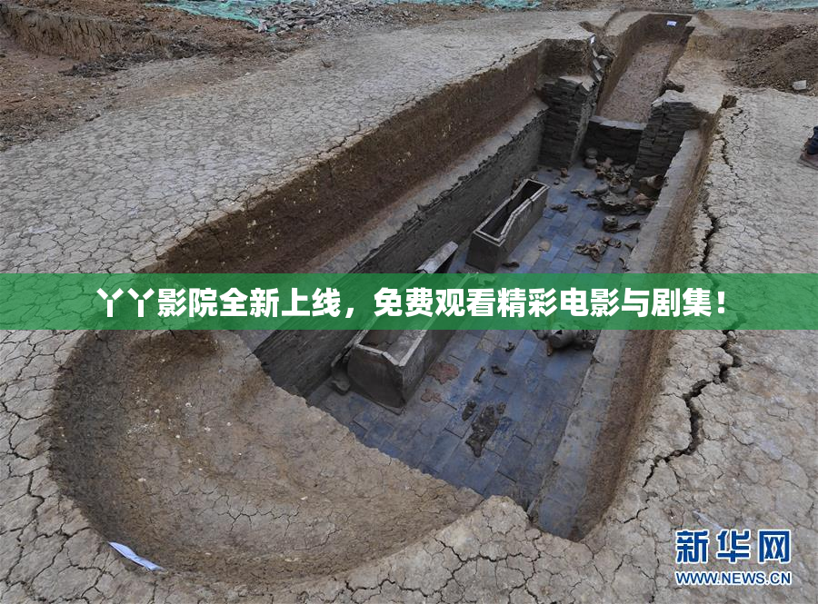 丫丫影院全新上线，免费观看精彩电影与剧集！