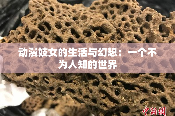 动漫妓女的生活与幻想：一个不为人知的世界