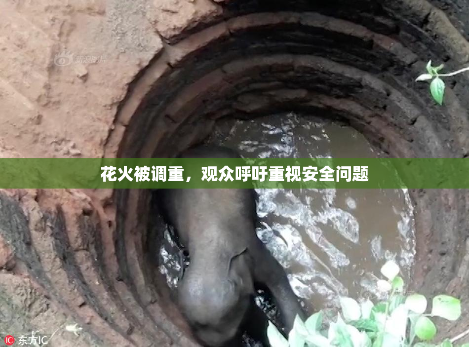 花火被调重，观众呼吁重视安全问题