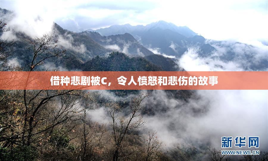 借种悲剧被C，令人愤怒和悲伤的故事